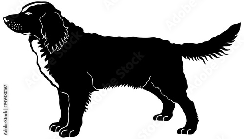 Deutscher Wachtelhund - German Spaniel