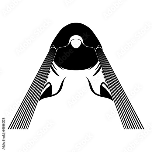 Dolphin Lazer Beam Eyes