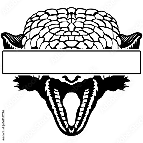 Eyes Banner Armadillo