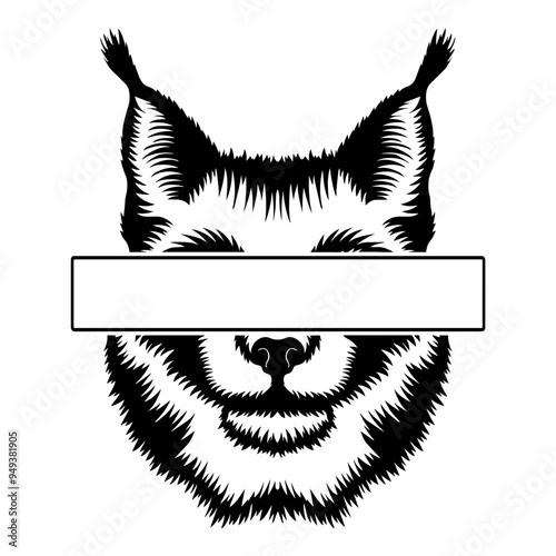 Eyes Banner Lynx