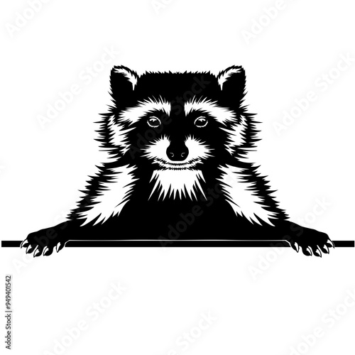 Peeking Raccoon