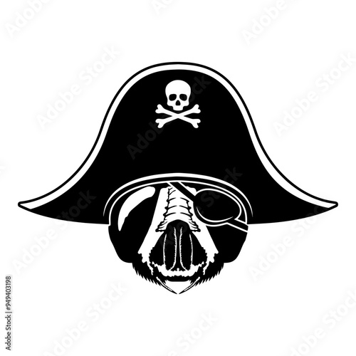 Pirate Fly
