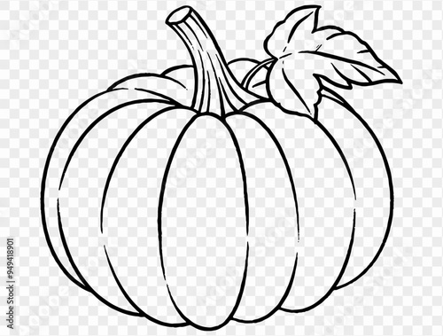 Outline pumpkin hand draw with brush style isolated on png or transparent texture,Halloween party background ,element template for poster, brochures, online advertising, vector illustration