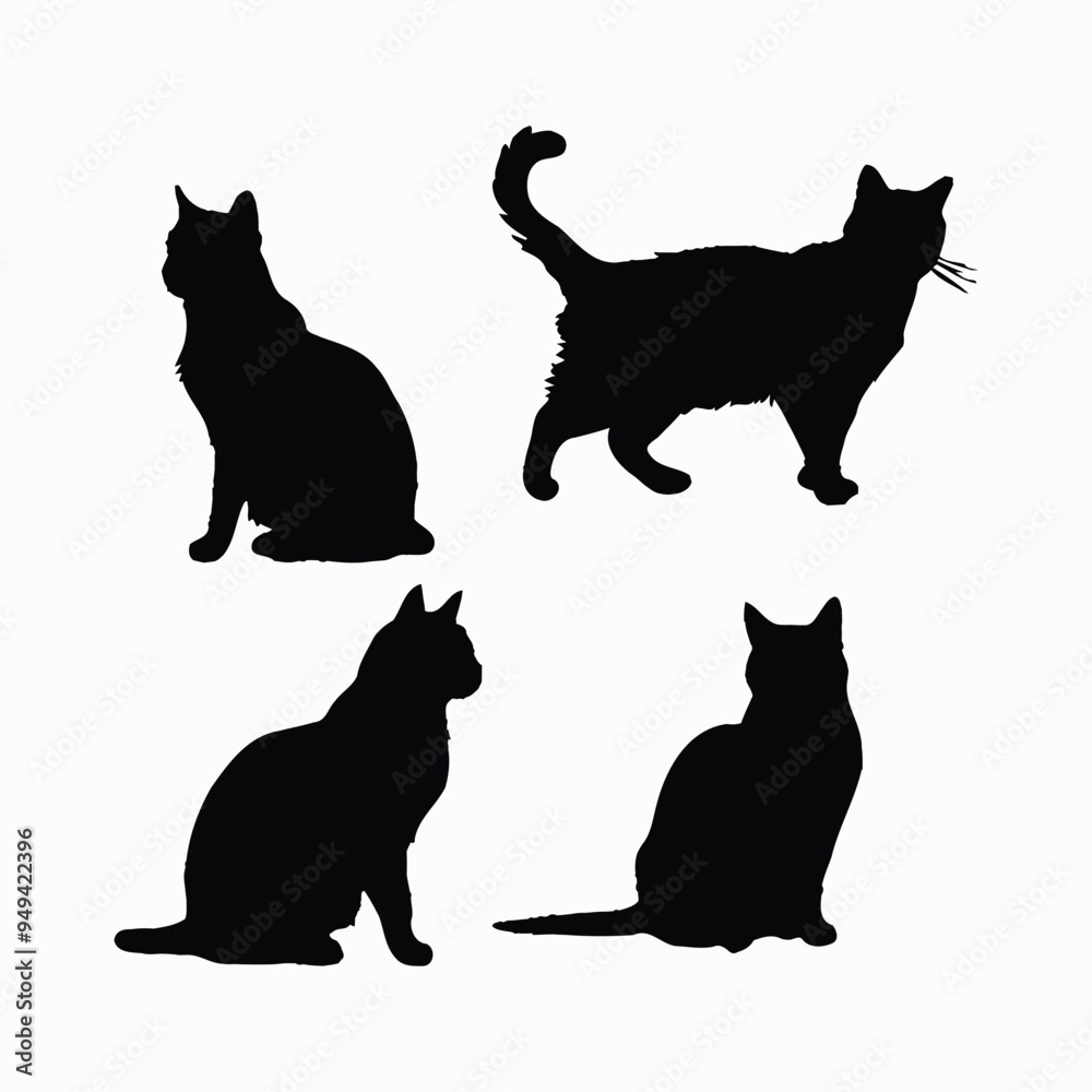 American Shorthair Cat Silhouette Vector Set Animals Illustration Template American Shorthair Cat Silhouette Vector Set Animals Illustration Template