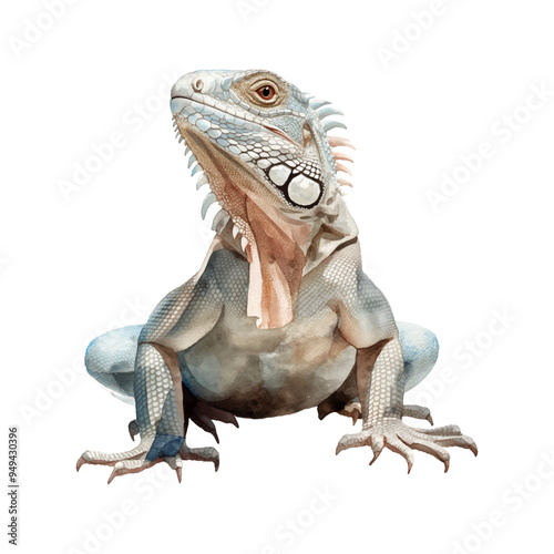Vector illustration iguana lizard on white background 