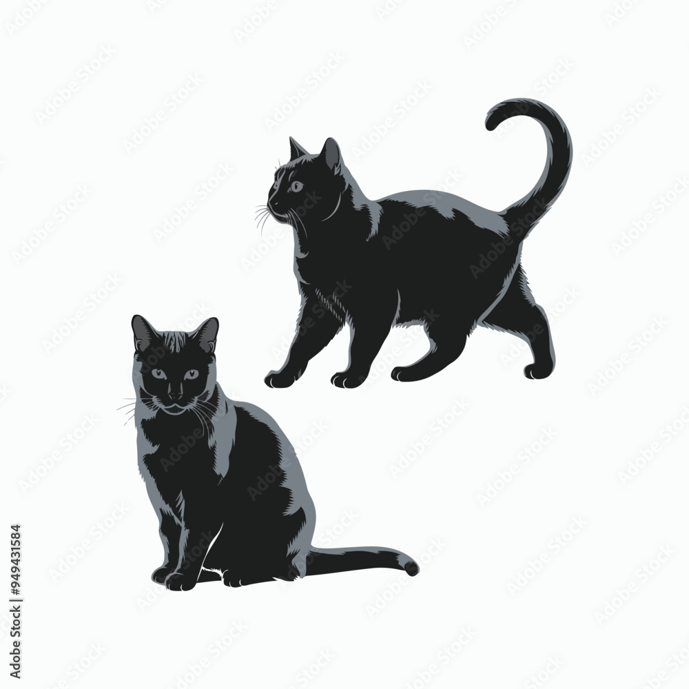 American Shorthair Cat Silhouette Vector Set Animals Illustration Template American Shorthair Cat Silhouette Vector Set Animals Illustration Template
