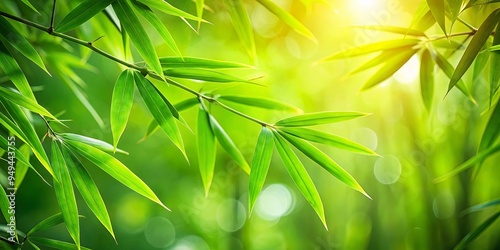Close-up of vibrant green bamboo leaves glistening in soft sunlight, creating a serene and tranquil atmosphere