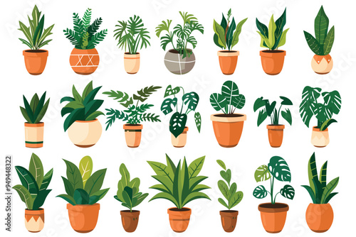 Different plant collection in pot for home decoration, isolated on a white background. Plant in pot vector illustration flowerpots set. Vector Set of different houseplants in flower pots