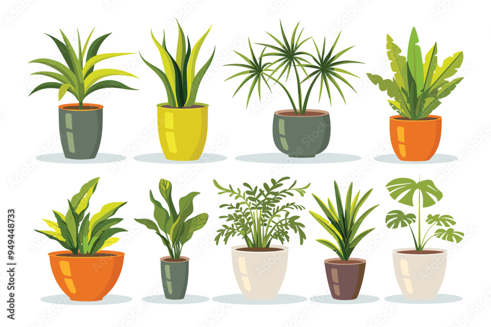 Fototapeta premium Different plant collection in pot for home decoration, isolated on a white background. Plant in pot vector illustration flowerpots set. Vector Set of different houseplants in flower pots