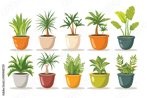 Different plant collection in pot for home decoration, isolated on a white background. Plant in pot vector illustration flowerpots set. Vector Set of different houseplants in flower pots