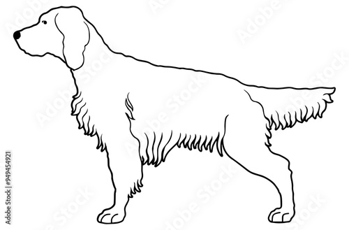 English Setter Outline