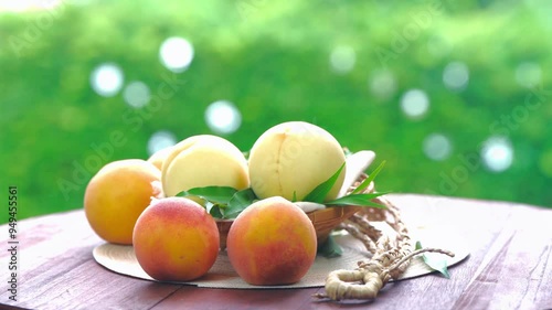 Fresh three kinds of peaches on blurred greenery background, Three colored peaches in basket on wooden table in garden.
