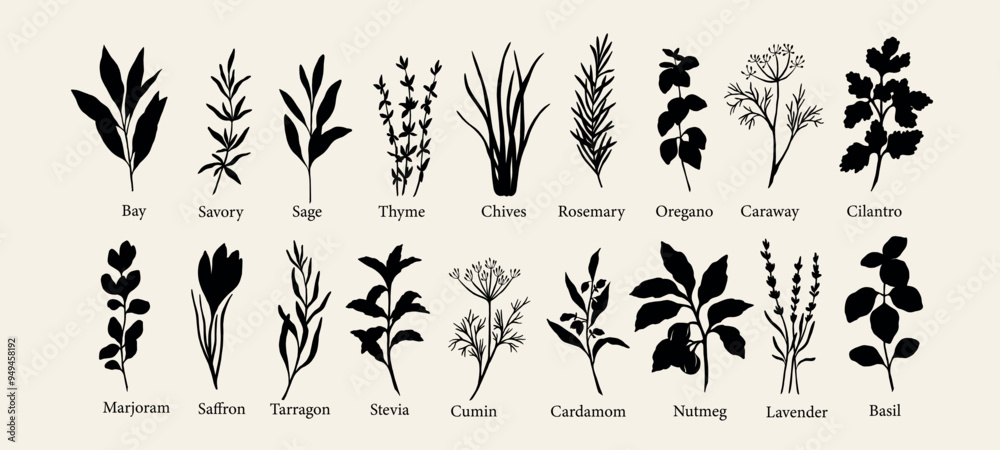 Obraz premium Flat vector herbs and spices collection