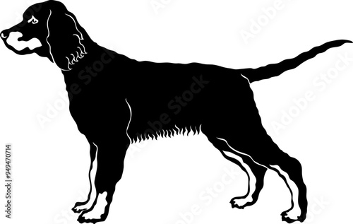 Gordon Setter