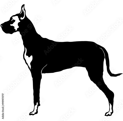 Great Dane