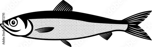 Herring