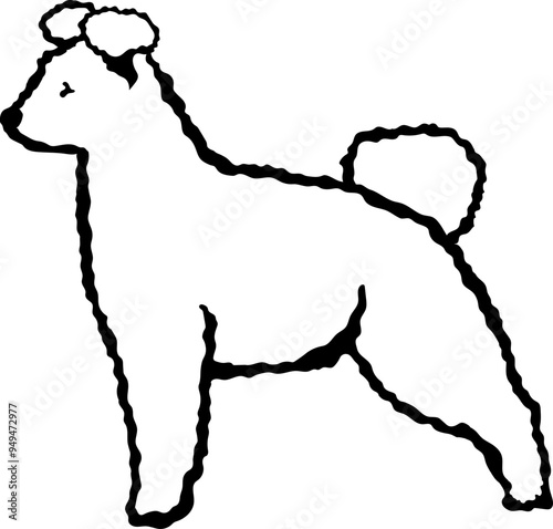Hungarian Pumi