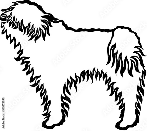 Hungarian Puli