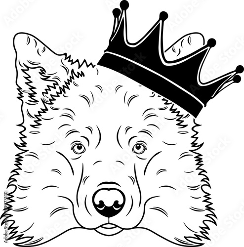 Icelandic Sheepdog Wearing A Crown