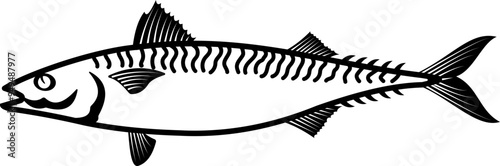 Mackerel