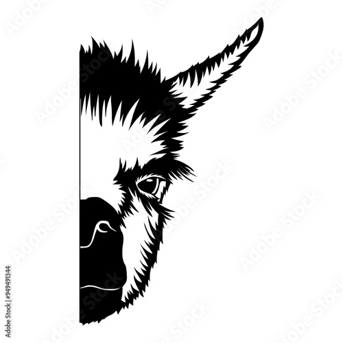 llama Half Face