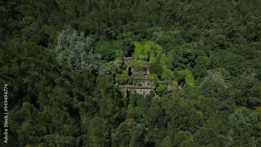 Convento de São Francisco ruins, surrounded by dense forest in Viana do Castelo, Portugal Convento de São Francisco ruins, surrounded by dense forest in Viana do Castelo, Portugal