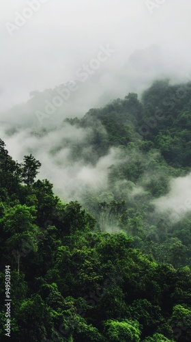 Clean air, mountain, landscape, nature, forest, clouds, fog, cloud, sky, mountains, tree, green, mist, hill, trees, view, summer, storm, rain, travel, morning, scenery, peak, weather, rock, grass