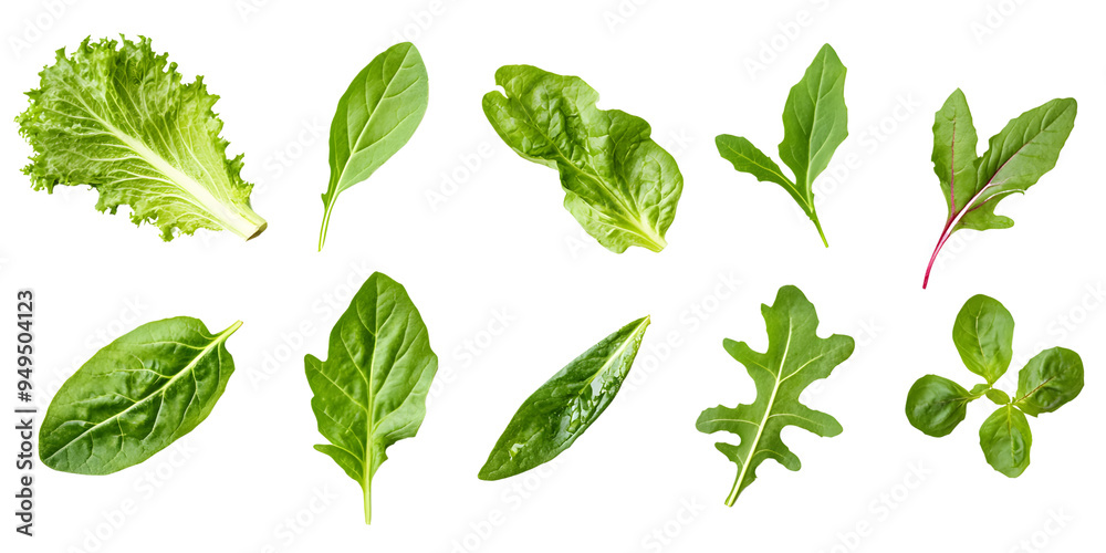 Flat lay of green lettuce leaves, fresh and perfect for salads or healthy meals. Flat lay of green lettuce leaves, fresh and perfect for salads or healthy meals.
