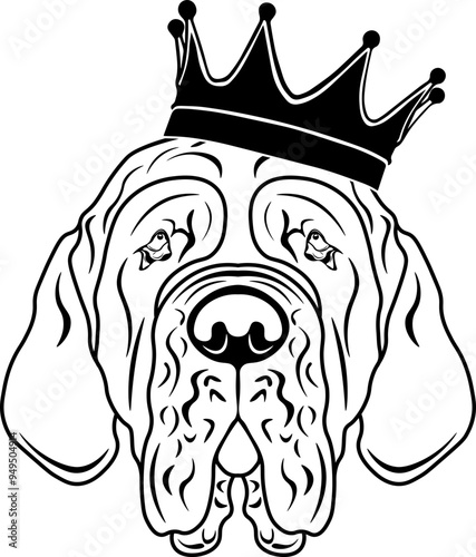 Neapolitan Mastiff Wearing A Crown