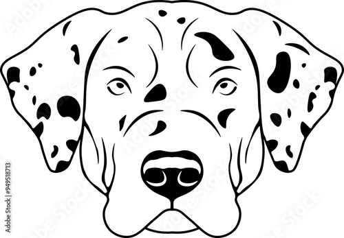 American Leopard Hound
