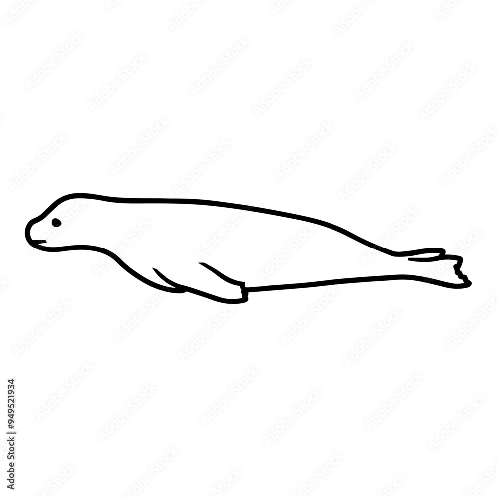 Obraz premium Baby Seal Outline