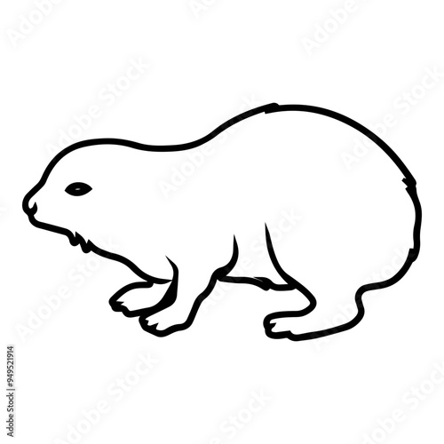 Baby Rock Hyrax Outline