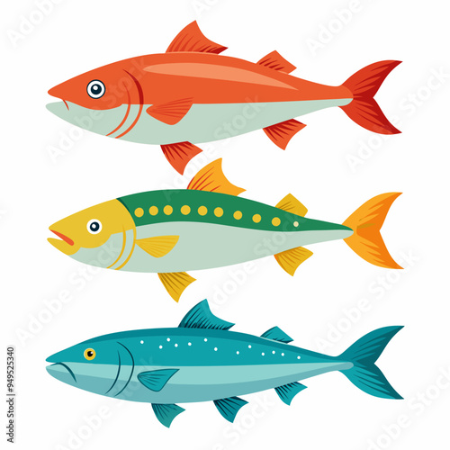 set of fish, fish vector, isolated white background 