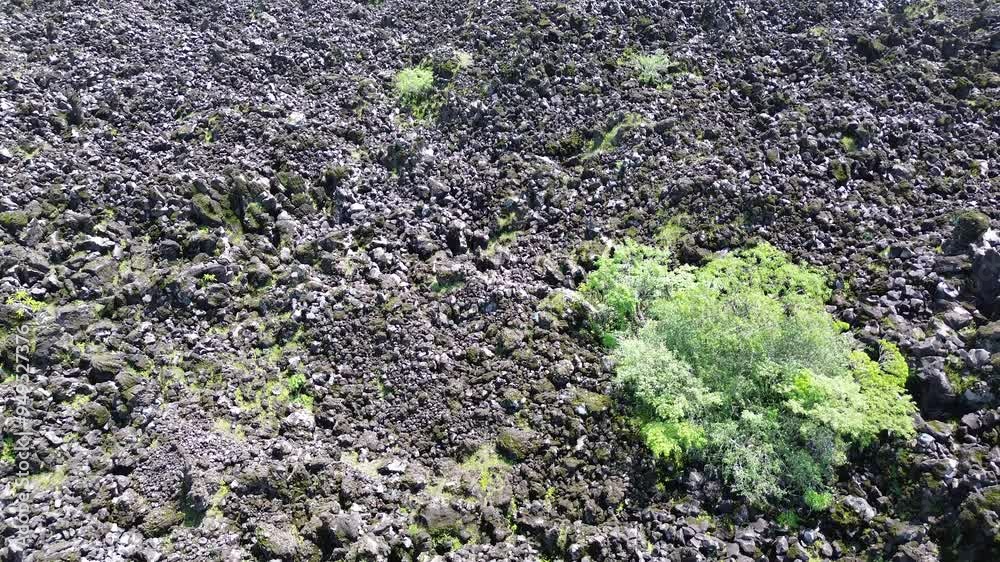 Stories of the Ceboruco volcano cover the black magma road with frozen rocks. Stories of the Ceboruco volcano cover the black magma road with frozen rocks.
