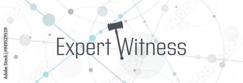 expert witness text on white background