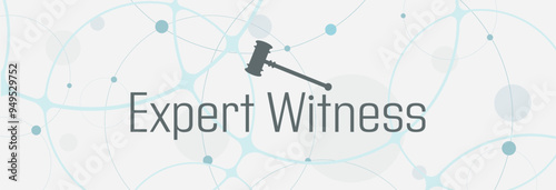 expert witness text on white background