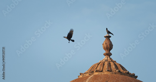 Varanasi, Uttar Pradesh, India. Crow Sits On A Tower Of Het Singh Fort, Jain Ghat. Clear Blue Sky. Flight. Ancient Fort. Red Wall Of Chet Singh Fort photo