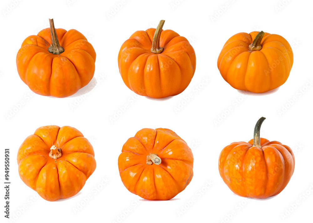 pumpkins image set pumpkins image set