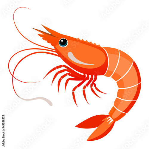 shrimp, vector illustration  sea creature 