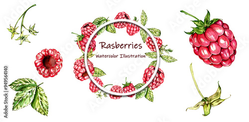 Set Elements. Bright Raspberry, Leaves, Wreath. White Background. Watercolor Illustration. For Packaging, Home Kitchen Textiles, Clothes, Stationery