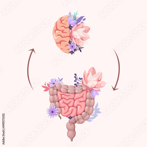 The human brain and intestines. Organs. Vector illustration.
