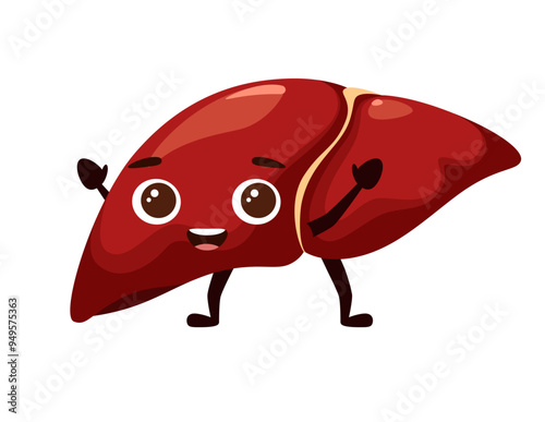 A cheerful liver. A human organ in a cartoon style. Vector illustration.