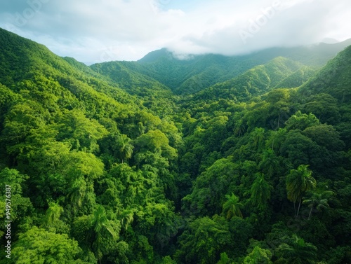 A zip line adventure through a lush tropical forest, with people gliding overhead