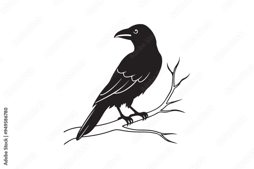 Crow silhouette vector illustration Crow silhouette vector illustration