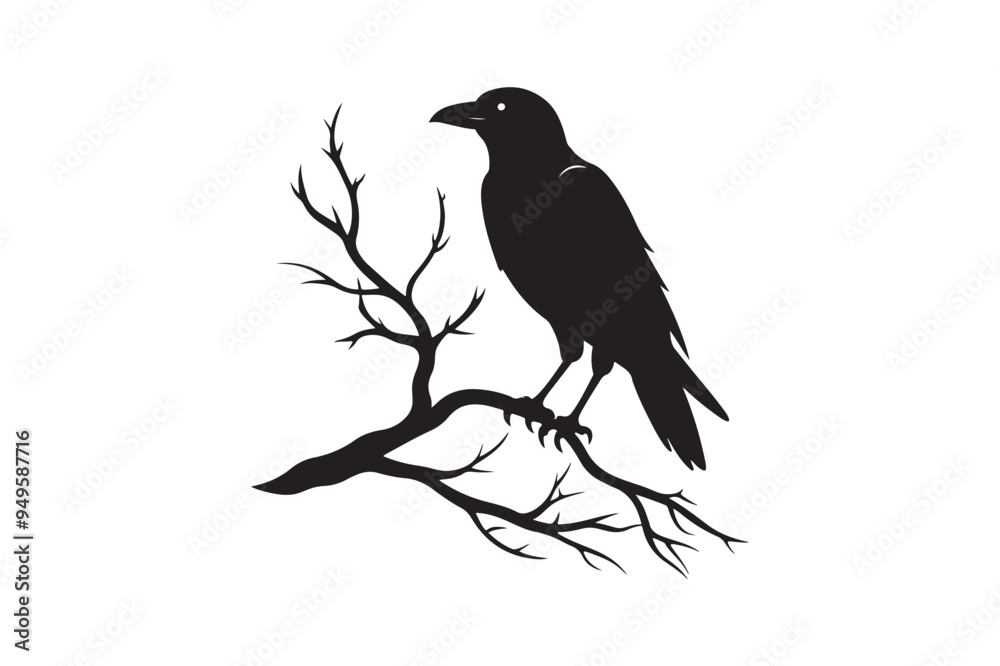 Fototapeta premium Crow silhouette vector illustration