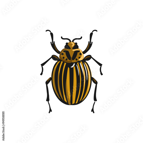 vector drawing Colorado potato beetle isolated at white background, garden pest, Leptinotarsa decemlineata, hand drawn illustration