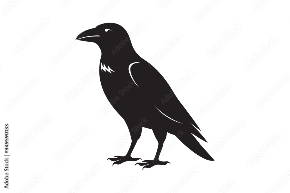 Crow silhouette vector illustration Crow silhouette vector illustration