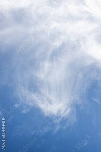 Sky background with clouds. White clouds against a blue sky.