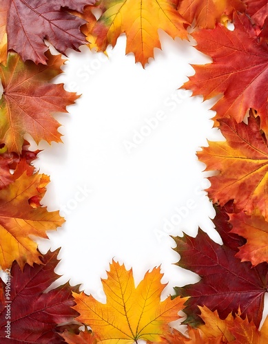 Autumn Maple and Oak Leaves Border - A top-down view mockup with vibrant red, orange, and yellow maple leaves. Graphic art illustration