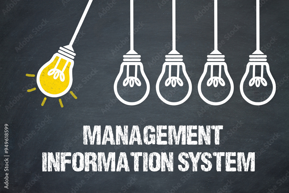 Fototapeta premium Management Information System